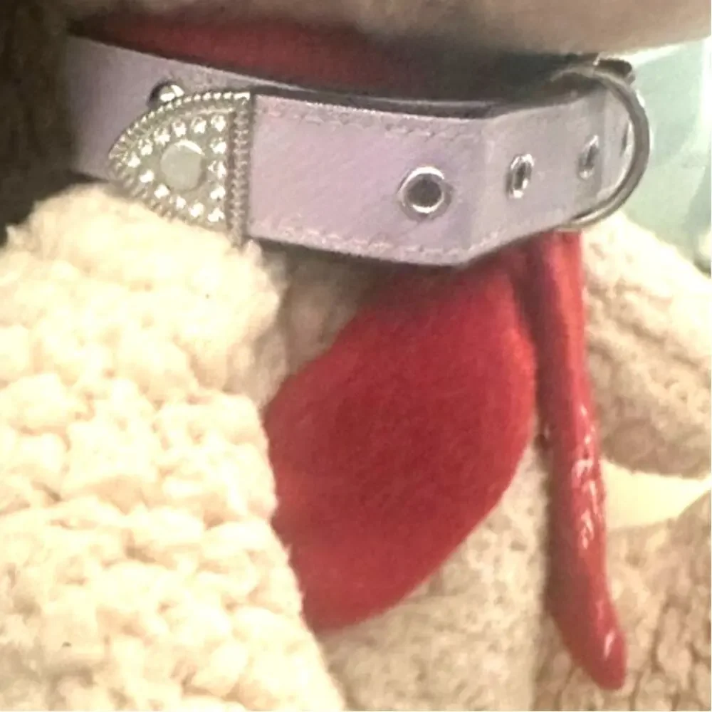 Purple Rhinestone Dog Collar and Leash - Collar is a Medium